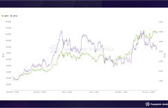 January 2025 Public Chain Industry Research Report: Bitcoin’s dominant position strengthened