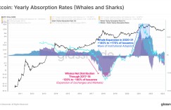 Looking back at 2025 in 2030: That year, Wall Street officially took over Bitcoin